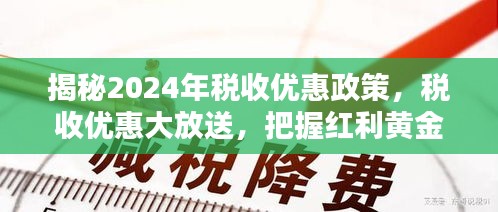 2024年12月6日 第67页