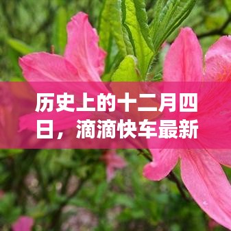 滴滴快车最新兑换码的历史回眸与影响分析