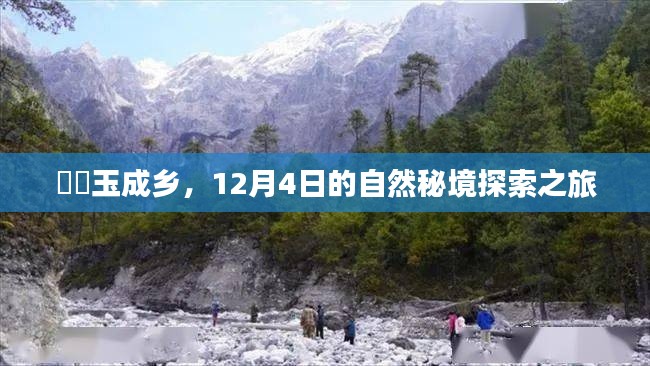 玉成乡自然秘境探索之旅，揭秘12月4日的自然奇观