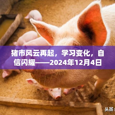 猪市风云背后的励志故事，自信闪耀的生猪市场新篇章（最新猪价表）