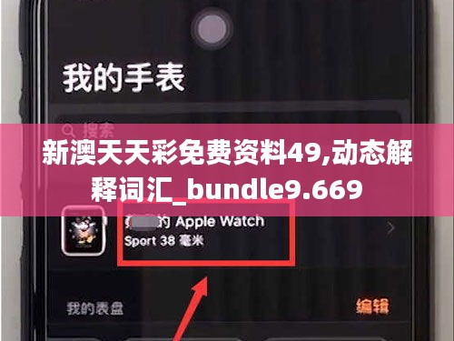 新澳天天彩免费资料49,动态解释词汇_bundle9.669