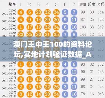 澳门王中王100的资料论坛,实地计划验证数据_AR8.200