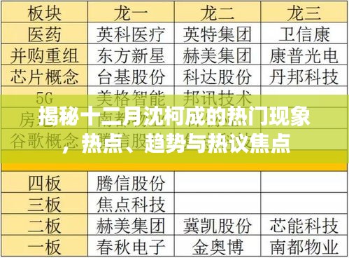 揭秘十二月沈柯成现象，热点、趋势与焦点热议