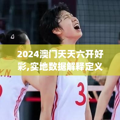 2024澳门天天六开好彩,实地数据解释定义_钻石版17.729