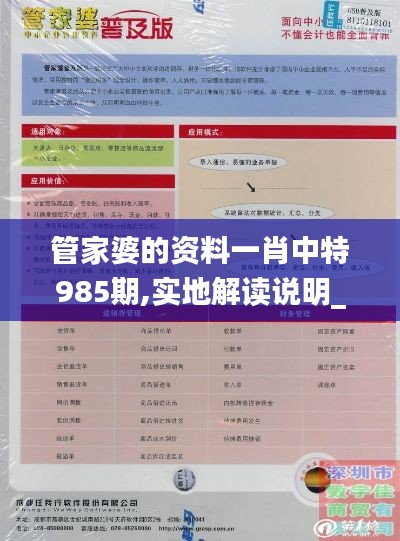 管家婆的资料一肖中特985期,实地解读说明_X版5.303