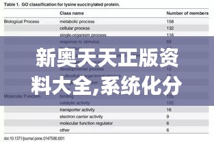 新奥天天正版资料大全,系统化分析说明_专属款19.432