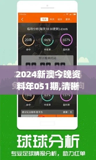 2024新澳今晚资料年051期,清晰计划执行辅导_体验版5.848