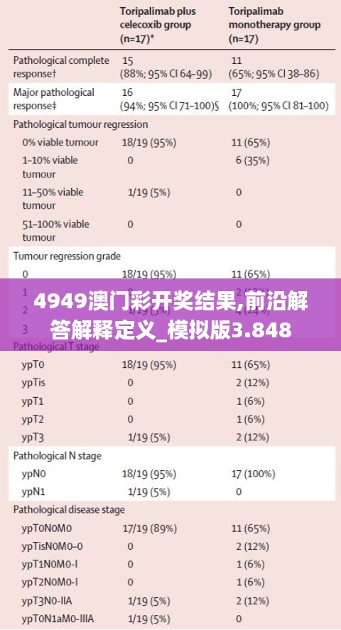 4949澳门彩开奖结果,前沿解答解释定义_模拟版3.848