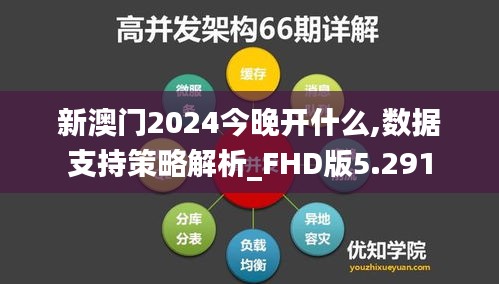 2024年12月6日 第52页