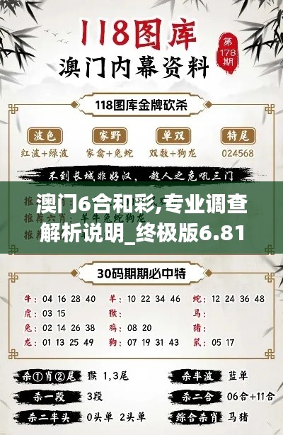 澳门6合和彩,专业调查解析说明_终极版6.811