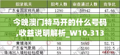 今晚澳门特马开的什么号码,收益说明解析_W10.313