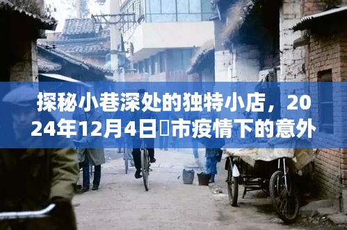 疫情下的小巷惊喜，探秘垱市独特小店，2024年12月4日的意外之旅