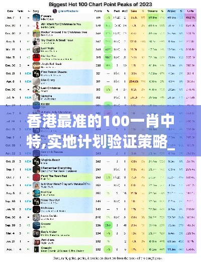 香港最准的100一肖中特,实地计划验证策略_8DM10.304