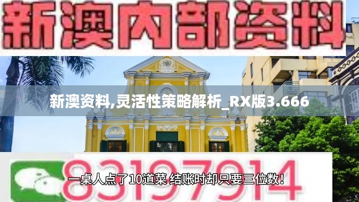 新澳资料,灵活性策略解析_RX版3.666