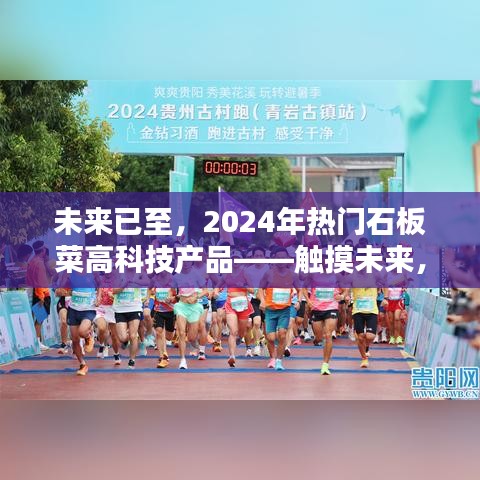 触摸未来，揭秘2024年热门石板菜高科技产品，体验无限可能