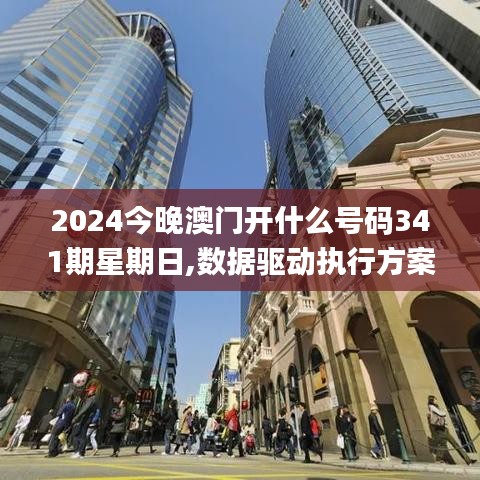 2024今晚澳门开什么号码341期星期日,数据驱动执行方案_理财版3.890