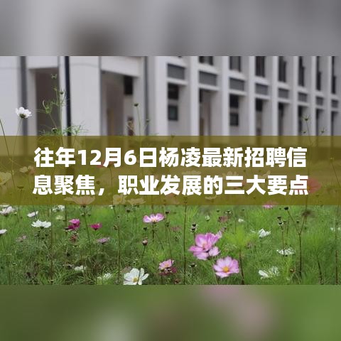 杨凌最新招聘信息聚焦与职业发展三大要点探讨，助力职业发展之路