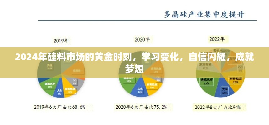 2024年硅料市场黄金时刻，把握变化，自信闪耀，成就梦想之旅