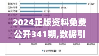 2024正版资料免费公开341期,数据引导策略解析_Essential1.728