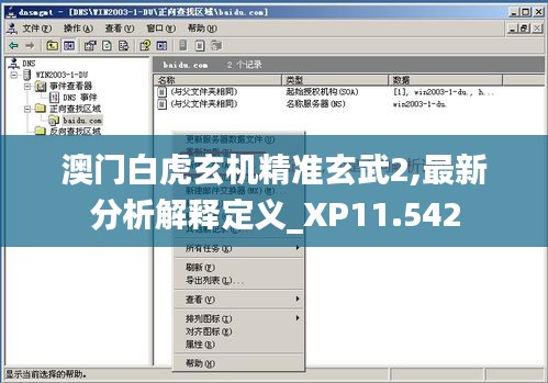 澳门白虎玄机精准玄武2,最新分析解释定义_XP11.542