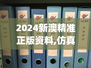 2024新澳精准正版资料,仿真实现技术_桌面版7.803