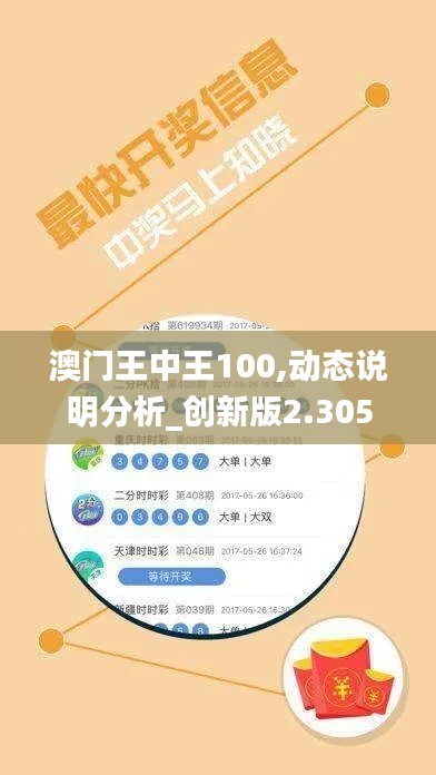 澳门王中王100,动态说明分析_创新版2.305