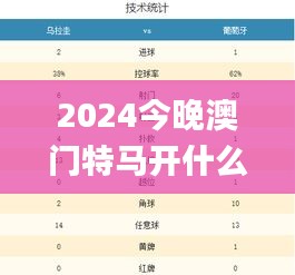 2024今晚澳门特马开什么码,实地分析验证数据_Lite5.825