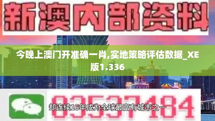 今晚上澳门开准确一肖,实地策略评估数据_XE版1.336