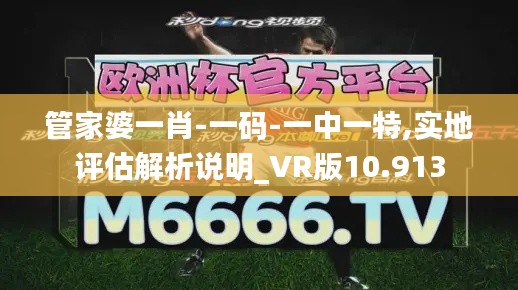 管家婆一肖-一码-一中一特,实地评估解析说明_VR版10.913