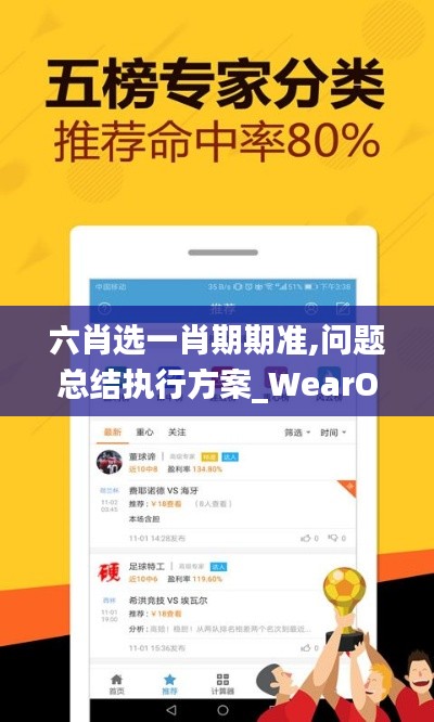 六肖选一肖期期准,问题总结执行方案_WearOS10.646