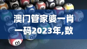 澳门管家婆一肖一码2023年,数据引导执行计划_N版6.680