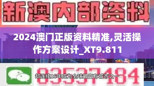 2024澳门正版资料精准,灵活操作方案设计_XT9.811