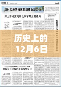 历史上的12月6日中澳新闻探析，最新动态与观点阐述