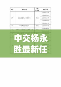 中交杨永胜任务操作指南，从初学者到进阶用户的实战指南