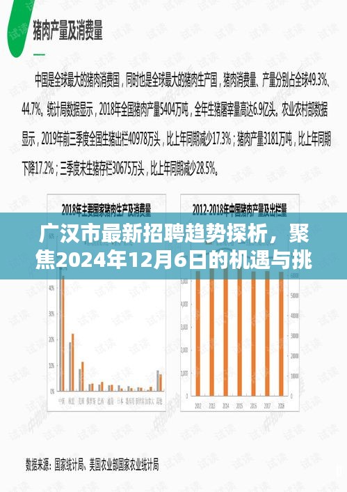 广汉市最新招聘趋势聚焦，机遇与挑战下的2024年展望