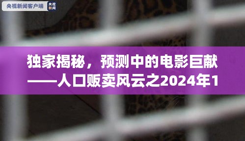 独家揭秘，电影巨献人口贩卖风云——最新力作，2024年12月6日震撼来袭