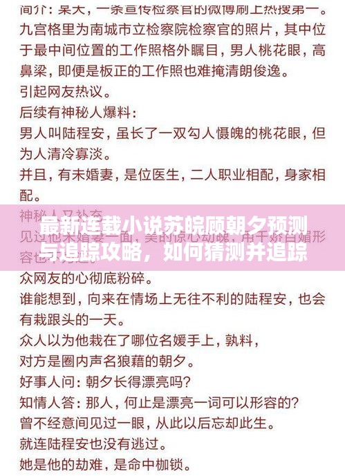 最新连载小说苏皖顾朝夕预测与追踪攻略，揭秘2024年12月6日更新内容猜测与追踪之道