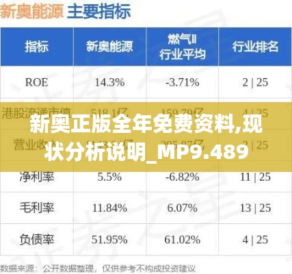 新奥正版全年免费资料,现状分析说明_MP9.489