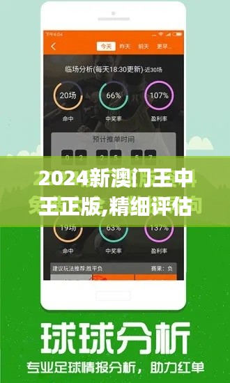 2024新澳门王中王正版,精细评估说明_挑战款16.625