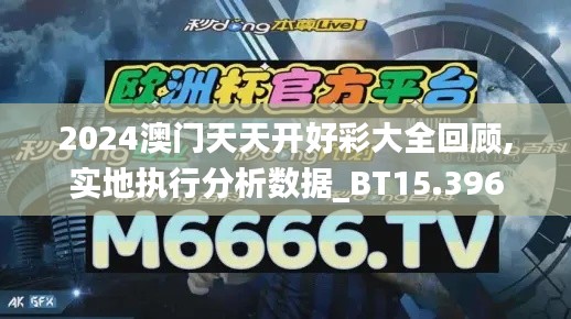 2024澳门天天开好彩大全回顾,实地执行分析数据_BT15.396