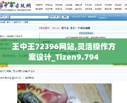 王中王72396网站,灵活操作方案设计_Tizen9.794