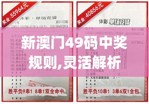 新澳门49码中奖规则,灵活解析设计_经典款5.476