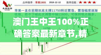 澳门王中王100%正确答案最新章节,精细化定义探讨_BT110.713