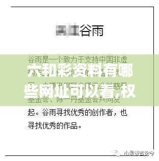 六和彩资料有哪些网址可以看,权威数据解释定义_挑战版6.273