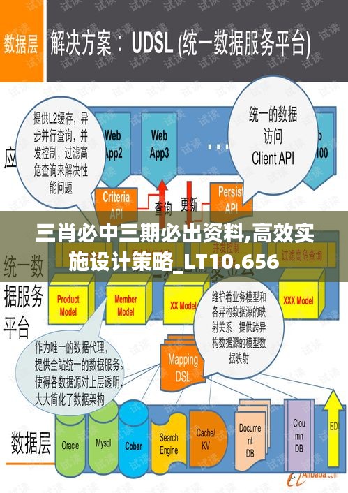 三肖必中三期必出资料,高效实施设计策略_LT10.656