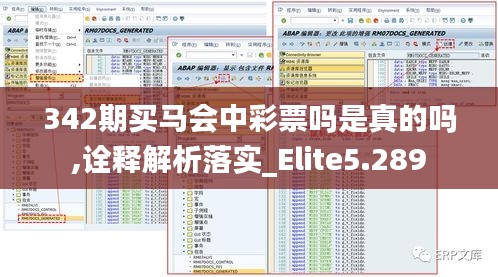 342期买马会中彩票吗是真的吗,诠释解析落实_Elite5.289