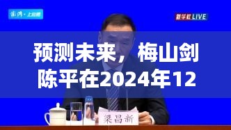 梅山剑陈平未来动向预测，2024年12月6日展望