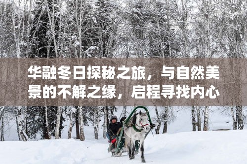 华融冬日探秘之旅，追寻自然美景与内心宁静的奇缘