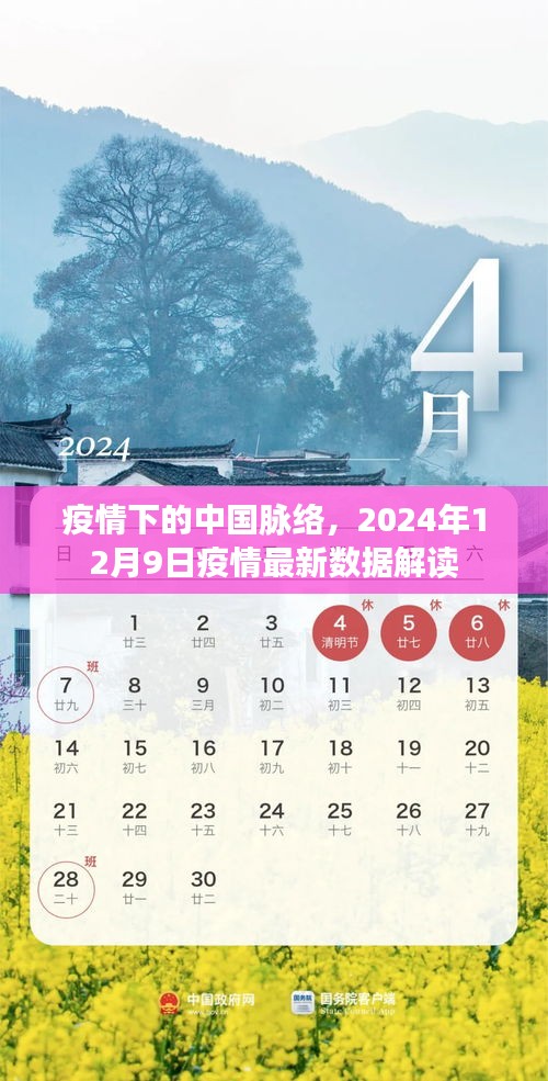 2024年12月9日 第21页