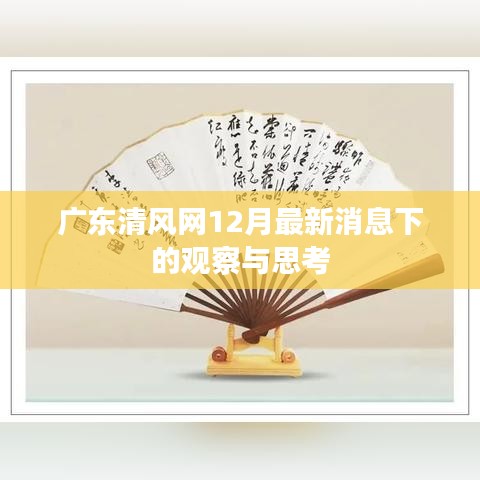 广东清风网最新动态观察与启示